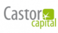 логотип CastorX Capital